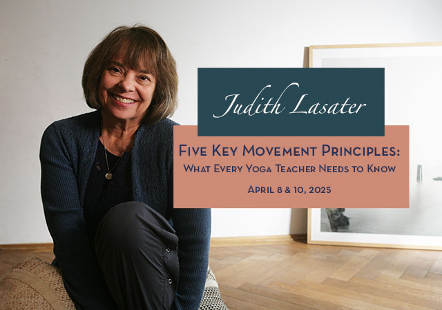 5 key movement principles with Judith Hanson Lasater