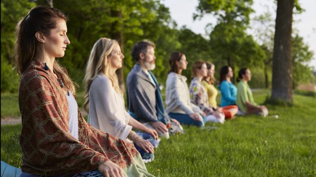 Year Long Yogic Meditation Immersion and Teacher Training