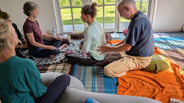 touch therapies for trauma